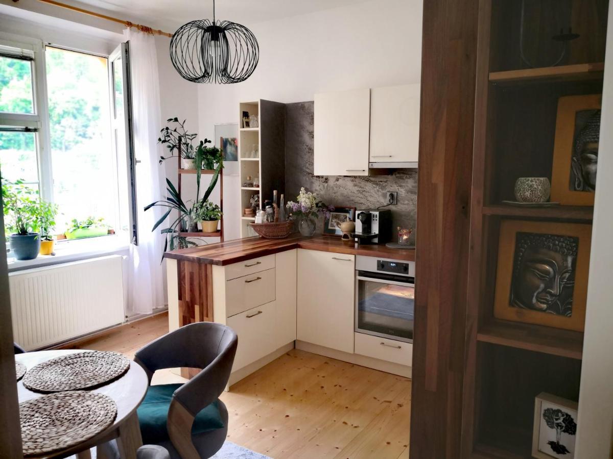 Apartmany Ivana Decin Exterior photo